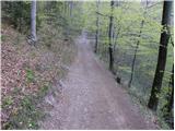 Stahovica - Kapela Marije Snežne (Velika planina)